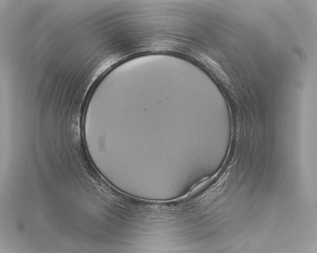 X0000115561226200912041046