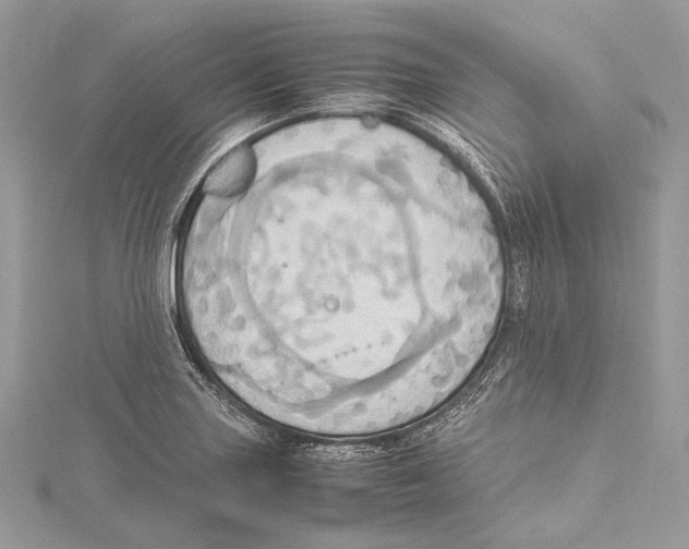 X0000115561227200912041046