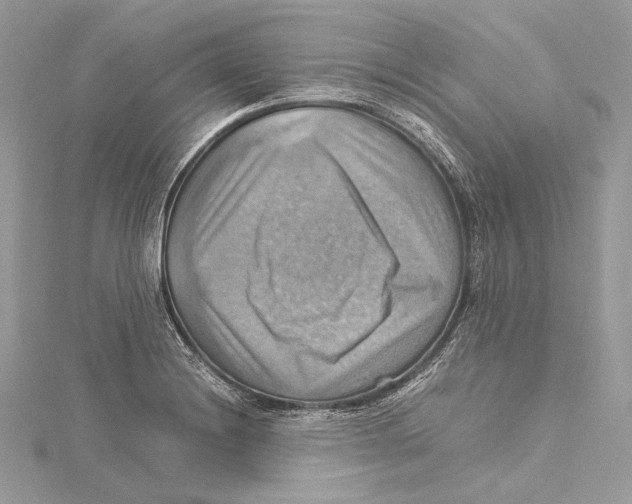 X0000115561228200912041046