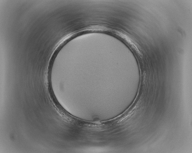 X0000115561229200912041046