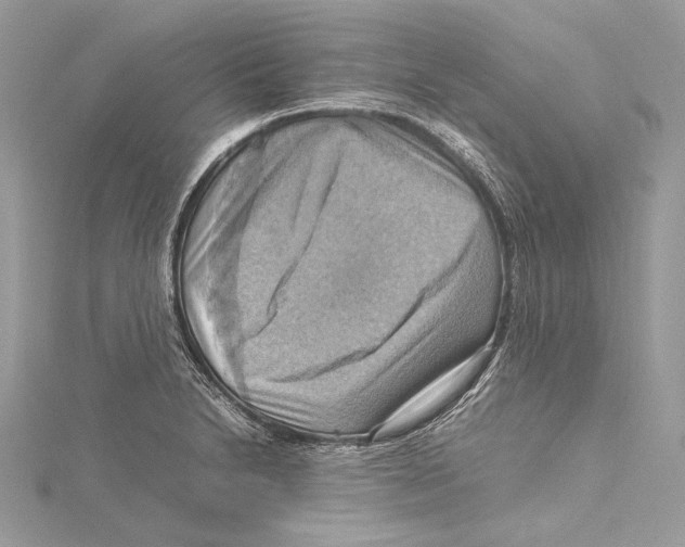 X0000115561230200912041046