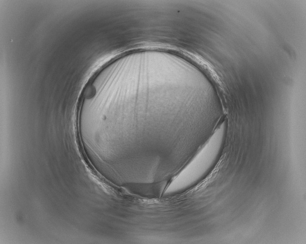 X0000115561231200912041046