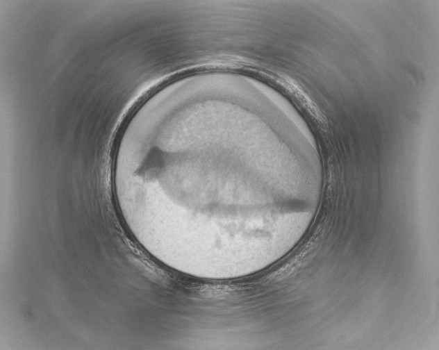 X0000115561232200912041046