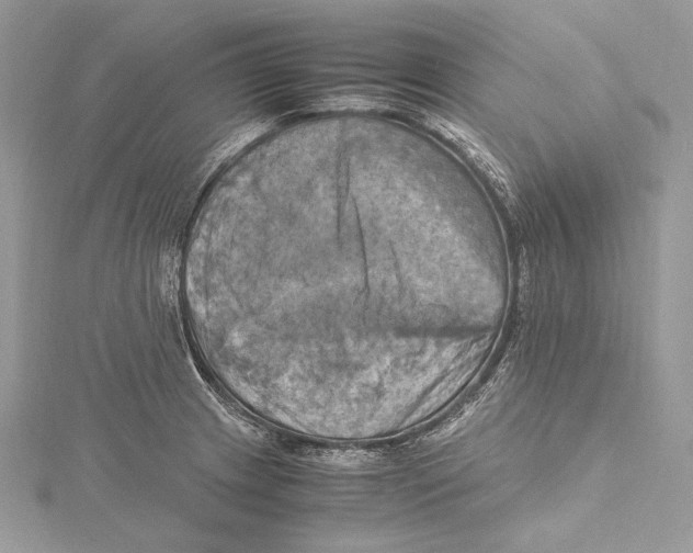 X0000115561233200912041046