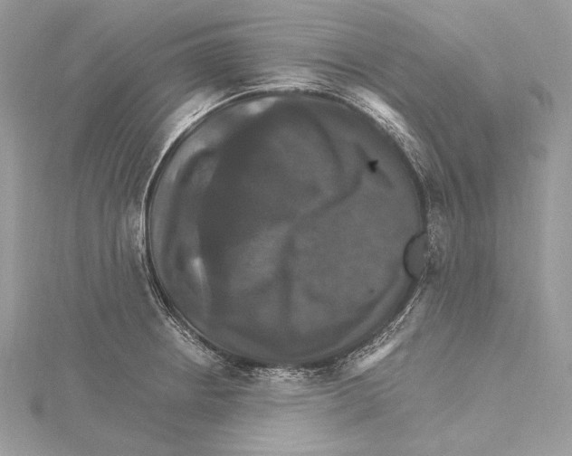 X0000115561234200912041046