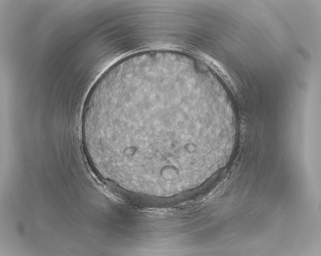 X0000115561236200912041046