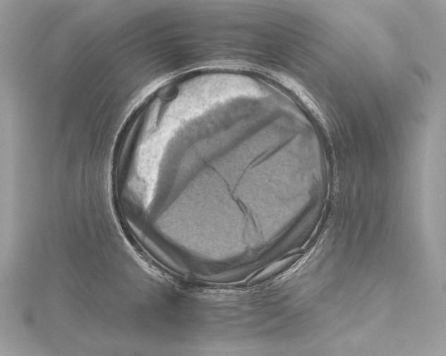 X0000115561237200912041046