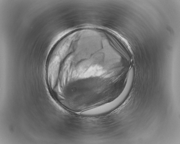 X0000115561239200912041046