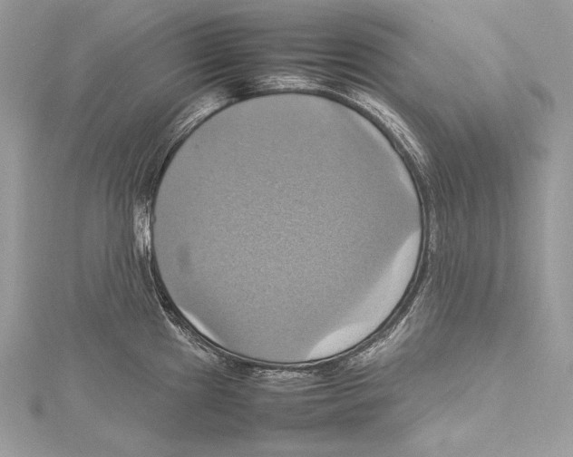 X0000115561241200912041046