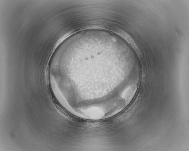 X0000115561242200912041046