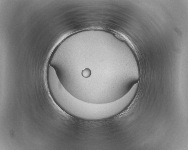 X0000115561243200912041046