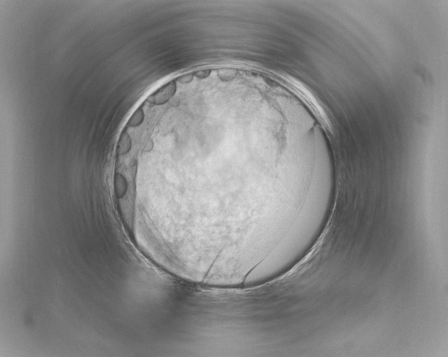 X0000115561244200912041046