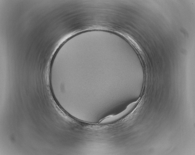 X0000115561246200912041046