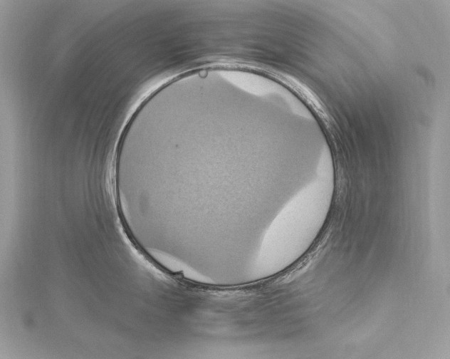 X0000115561247200912041046