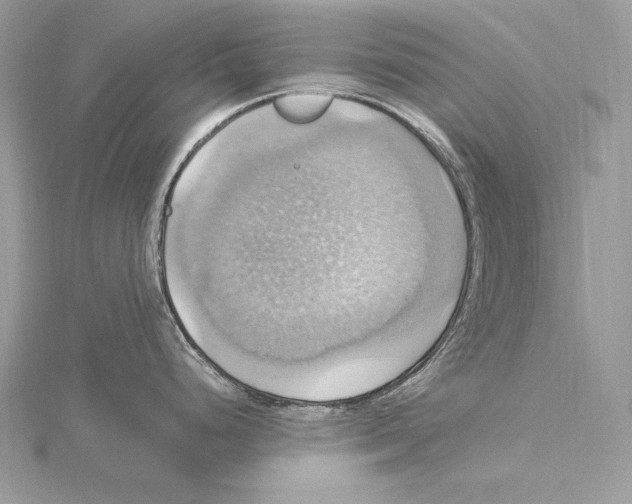 X0000115561248200912041046