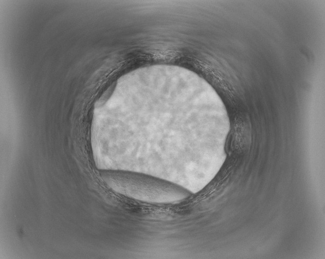 X0000115561249200912041046