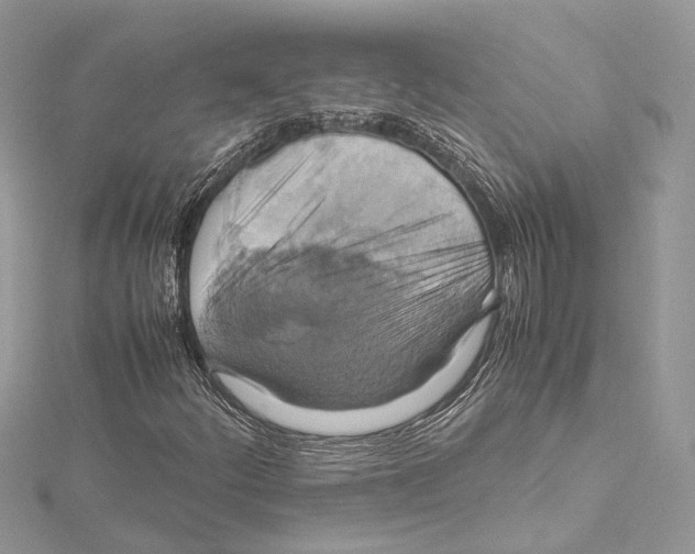 X0000115561252200912041046