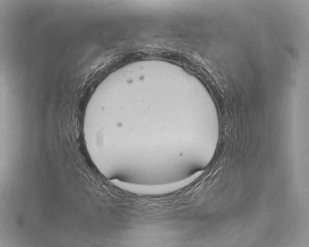 X0000115561253200912041046