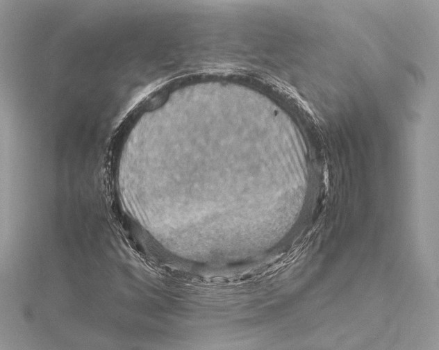 X0000115561256200912041046