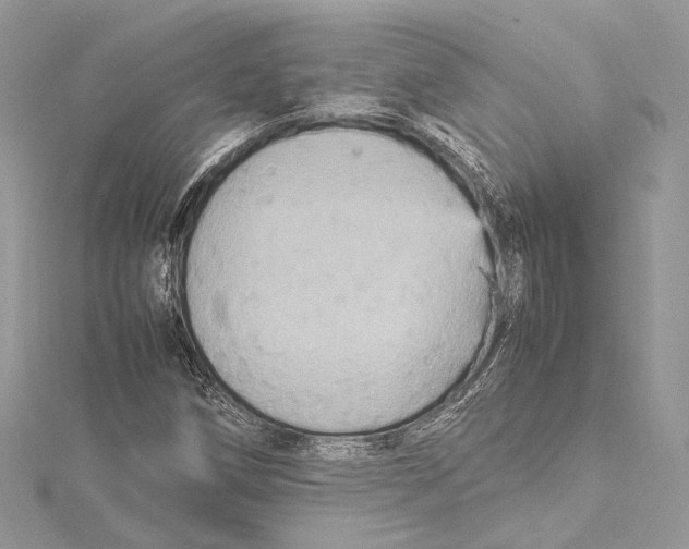 X0000115561258200912041046