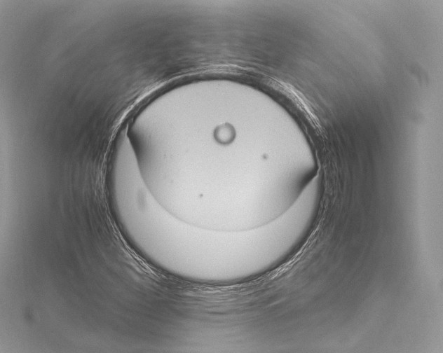 X0000115561260200912041046