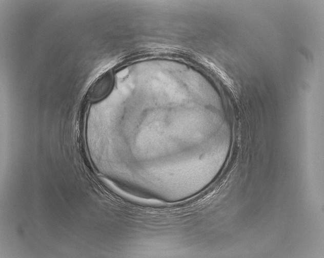 X0000115561261200912041046