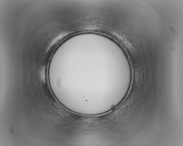 X0000115561262200912041045