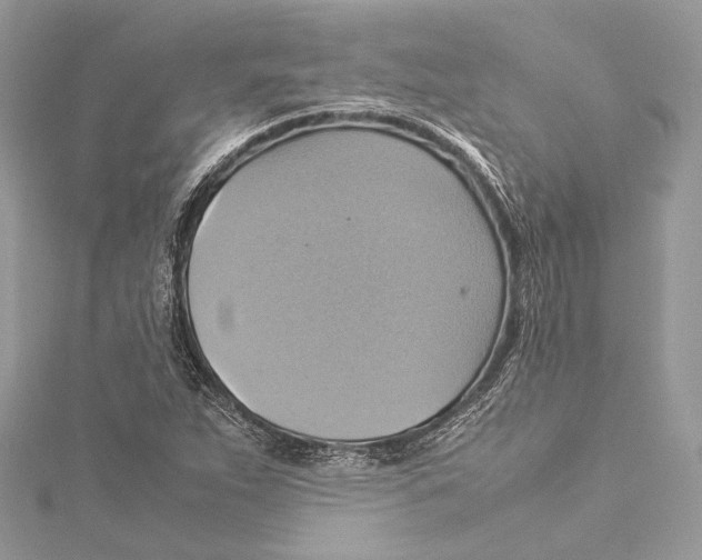 X0000115561263200912041045