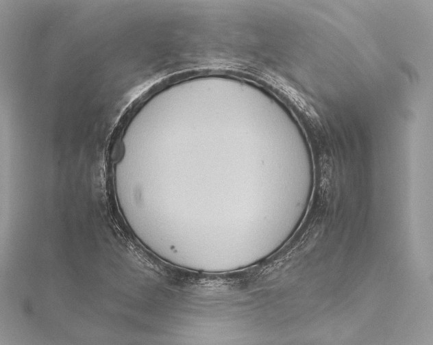 X0000115561264200912041045