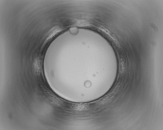 X0000115561266200912041045