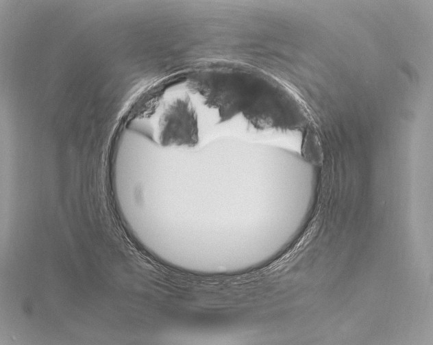 X0000115561267200912041045