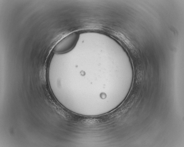 X0000115561268200912041045