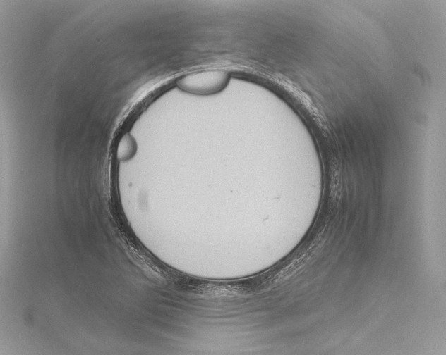 X0000115561270200912041045