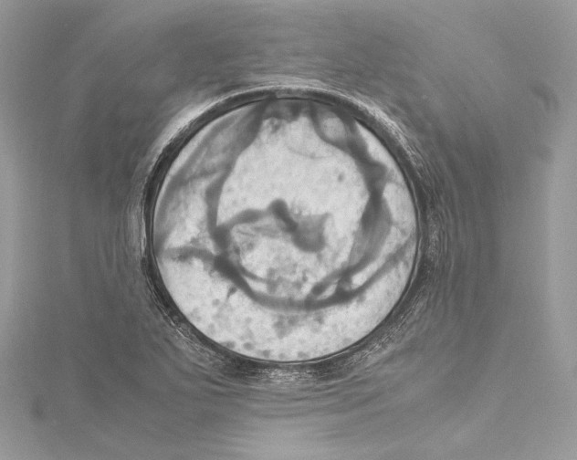 X0000115561271200912041045