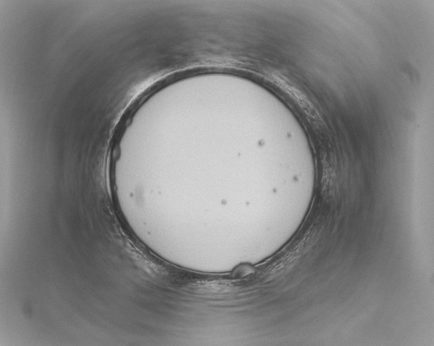 X0000115561272200912041045