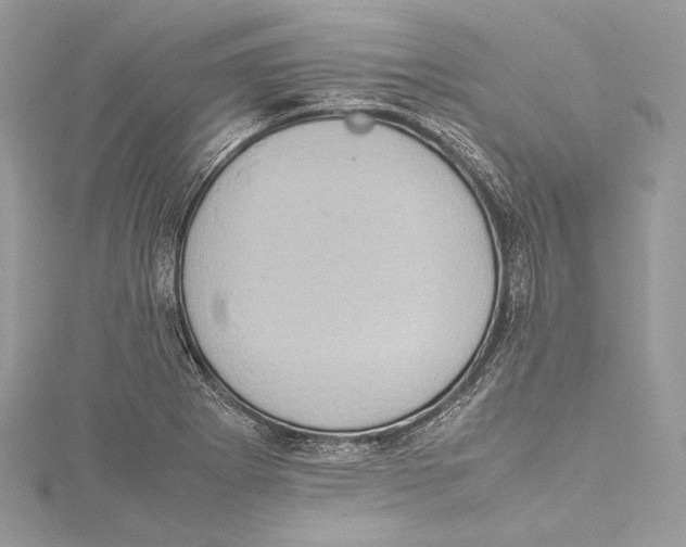 X0000115561273200912041045