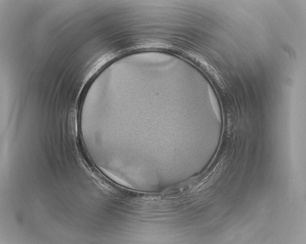 X0000115561274200912041045