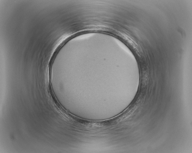 X0000115561275200912041045