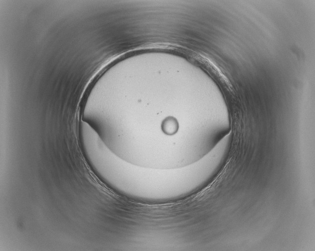 X0000115561276200912041045