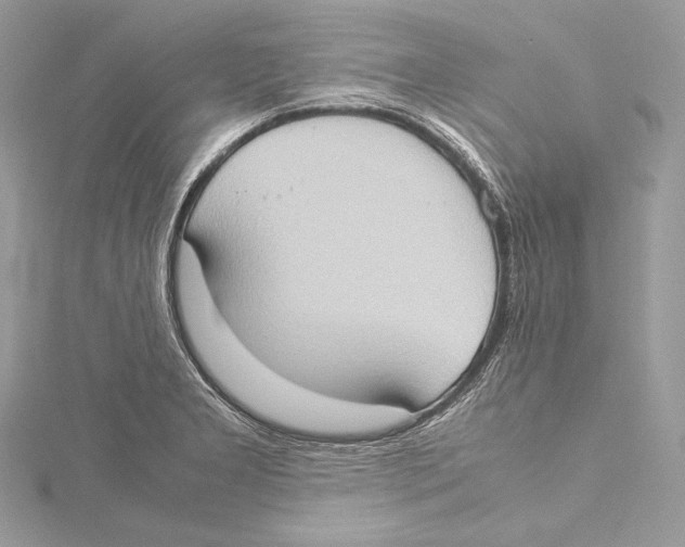 X0000115561277200912041045