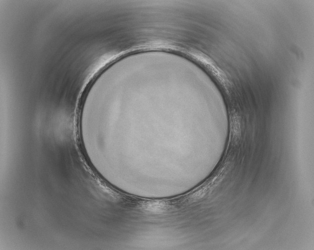 X0000115561278200912041045