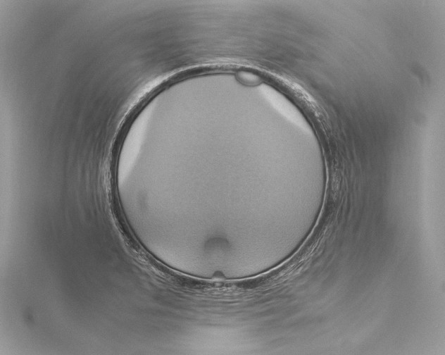 X0000115561279200912041045