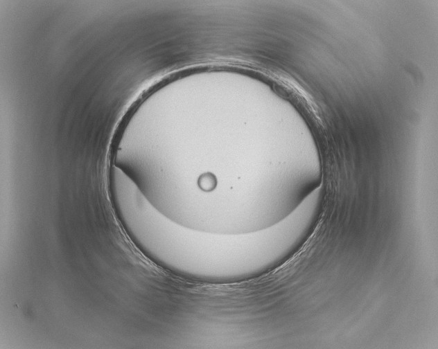 X0000115561280200912041045