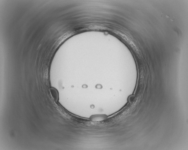 X0000115561281200912041045