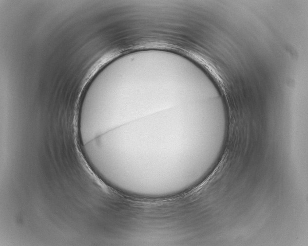 X0000115561282200912041045