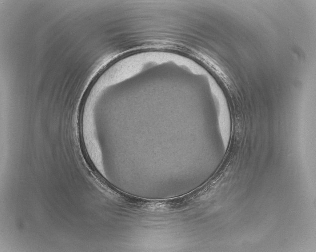 X0000115561283200912041045