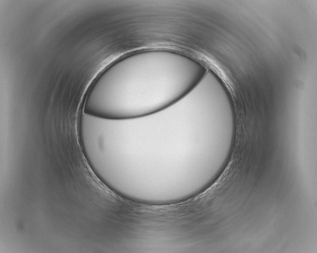 X0000115561284200912041045