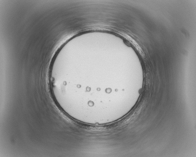 X0000115561285200912041045