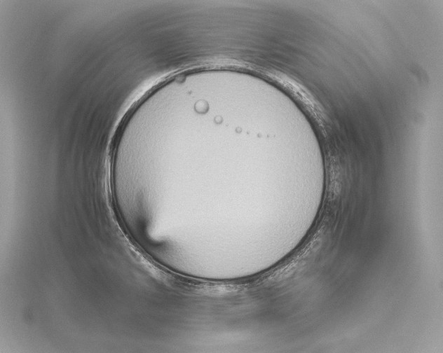 X0000115561286200912041045