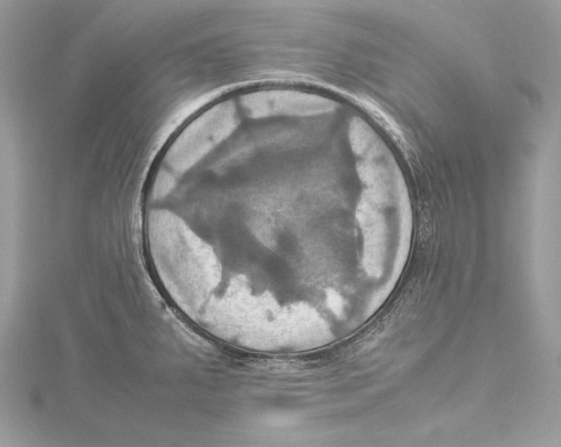 X0000115561287200912041045